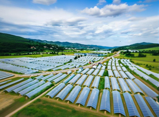 農藥殘留檢測儀走進蔬菜基地，萊恩德檢測儀助力壽光市蔬菜安全